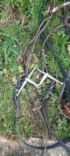 Best Lot 5 filets complets cheval Bridons Et Brides·Bridon Cuir