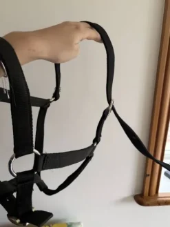 Outlet lot de 2 licols noir Licols Et Longes