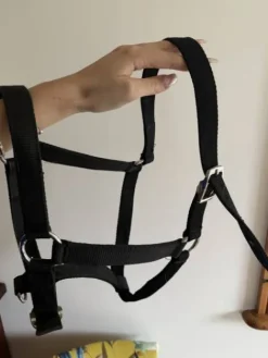 Outlet lot de 2 licols noir Licols Et Longes