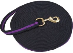 Lot de 2 longes de travail Longes De Travail