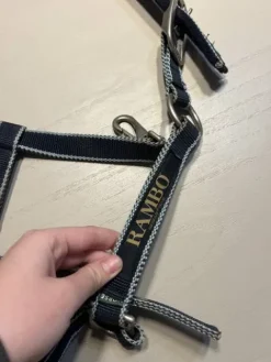 Clearance Lot de licol Licols Et Longes