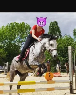 Clearance Lot equipement poney Tapis De Cso