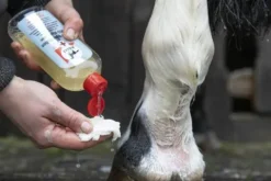 Discount Lotion lavante sans savon MED - Shampoings Pour Chevaux