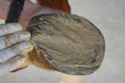 Outlet Magic pieds 500G Produits De Soin Sabots