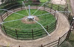 Online eur Marcheur Chevaux