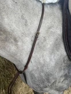 Outlet Martingale Enrênements·Martingale