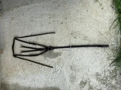 Best Martingale Enrênements·Martingale