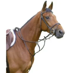 Martingale à anneaux Enrênements·Martingale