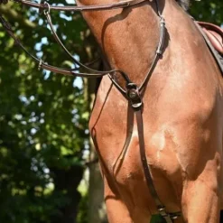 Sale Martingale à anneaux - Collection Week - Jump'in Enrênements·Martingale