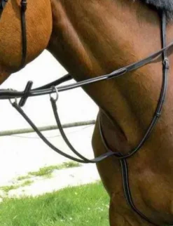 Online Martingale à anneaux Must Enrênements·Martingale