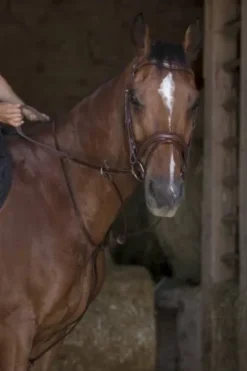 Hot Martingale à anneaux Pro Enrênements·Martingale