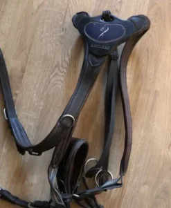 Outlet Martingale collier de chasse Antares Enrênements·Collier De Chasse