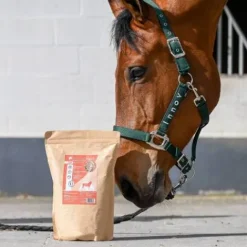 Best Mash pour cheval Natural'Mash - Mash Cheval