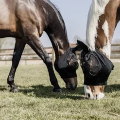 New Masque anti-mouches Slim Fit - Kentucky Masques Anti-Mouches