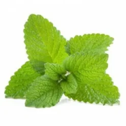 Online Mélisse 1kg - Appareil Digestif·Stress Gastrique|Bien-Être Du Cheval·Plantes Pour Chevaux