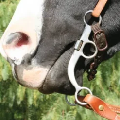 Online Mors Bob Avila AVB-121 Mors Western|Mors Et Embouchures