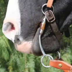 New Mors Bob Avila AVB-101 Mors Western|Mors Et Embouchures