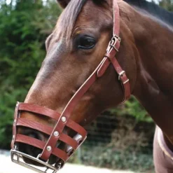 Hot Muselière cuir à barres métalliques - Accessoires D'Écurie·Muselières Cheval