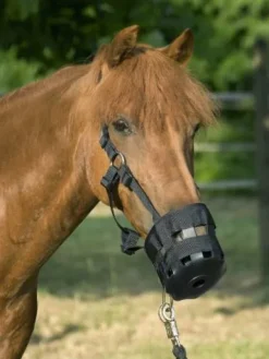 Hot Muselière nylon extra full - Accessoires D'Écurie·Muselières Cheval