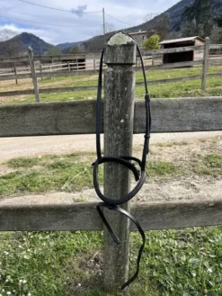 Sale Muserolle Bridons Et Brides·Muserolle