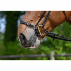 New Muserolle allemande à chaîne - Jump'in Bridons Et Brides·Muserolle