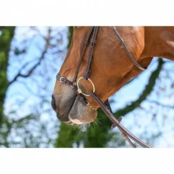 New Muserolle allemande à chaîne - Jump'in Bridons Et Brides·Muserolle