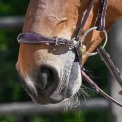 Online Muserolle allemande - Jump'in Bridons Et Brides·Muserolle