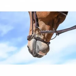 Online Muserolle allemande - Jump'in Bridons Et Brides·Muserolle