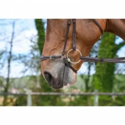 Online Muserolle allemande - Jump'in Bridons Et Brides·Muserolle