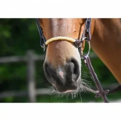 Best Muserolle allemande corde - Jump'in Bridons Et Brides·Muserolle