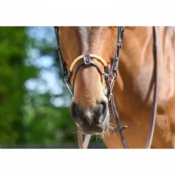 New Muserolle combinée corde - Jump'in Bridons Et Brides·Muserolle