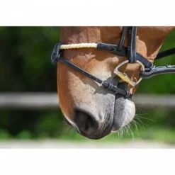 New Muserolle combinée corde - Jump'in Bridons Et Brides·Muserolle