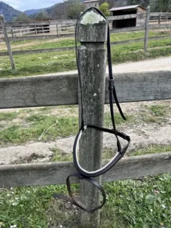 Discount Muserolle combinee Bridons Et Brides·Muserolle