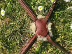 New Muserolle croisée - Bridons Et Brides·Muserolle