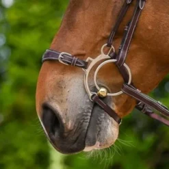 Clearance Muserolle hackamore - Bridons Et Brides·Muserolle