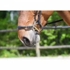 Clearance Muserolle hackamore - Bridons Et Brides·Muserolle