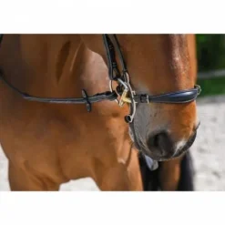 Clearance Muserolle hackamore - Bridons Et Brides·Muserolle