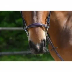 Clearance Muserolle hackamore - Bridons Et Brides·Muserolle