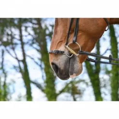 New Muserolle Kineton - Jump'in Bridons Et Brides·Muserolle