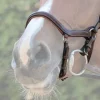 Clearance Muserolle New York - Collection One Jump'in Bridons Et Brides·Muserolle