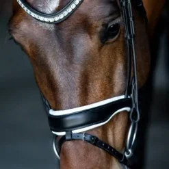 Best Muserolle noir anatomique doublée blanc - Bridons Et Brides·Muserolle