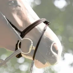 Outlet Muserolle Tuesday - Bridons Et Brides·Muserolle