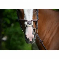 Outlet Muserolle Tuesday - Bridons Et Brides·Muserolle