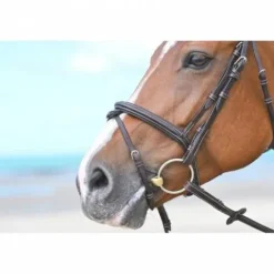 Outlet Muserolle Tuesday - Bridons Et Brides·Muserolle