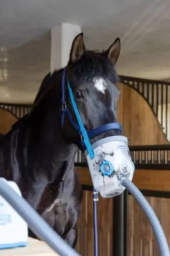 Nébuliseur à ultrasons airone - - 230 volts Appareil Respiratoire·Nébulisation Cheval