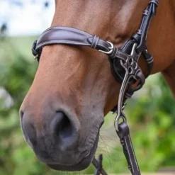 Outlet Nez de hackamore cuir - Jump'in Mors Et Embouchures