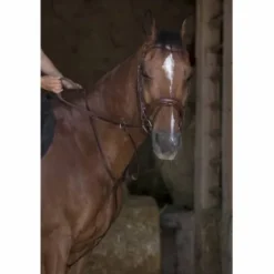 Best Pro Martingale à anneaux Enrênements·Martingale