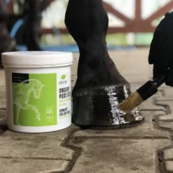 Best Onguent pieds secs - Produits De Soin Sabots