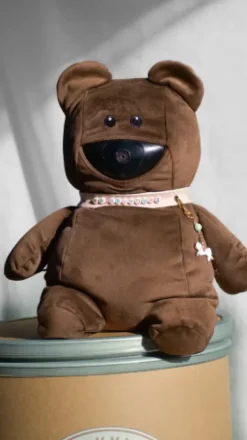 Clearance - Caméra de surveillance intelligente, nomade et sans abonnement Aménagement De L'Écurie·Vidéosurveillance Des Chevaux