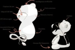 Clearance - Caméra de surveillance intelligente, nomade et sans abonnement Aménagement De L'Écurie·Vidéosurveillance Des Chevaux